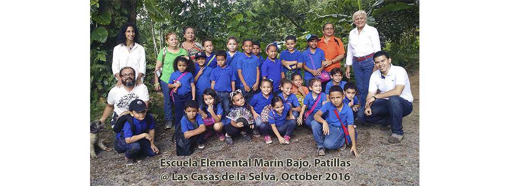 Contacto Verde – Escuela Elemental Marín Bajo, Patillas, 28 October 2016