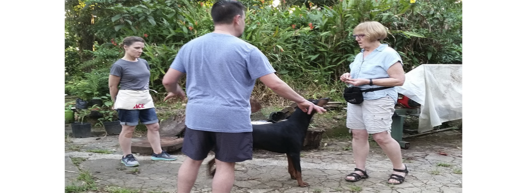 Animal Training Team at Las Casas de la Selva – Nov 2016