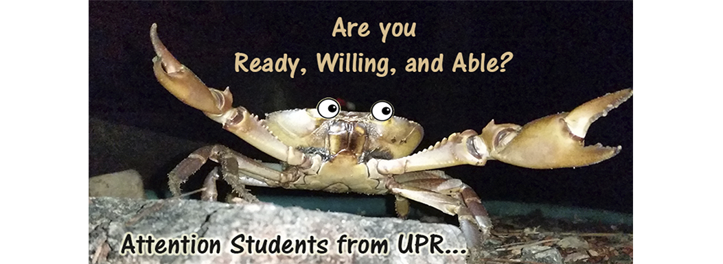 University Students from UPR – We need you!
