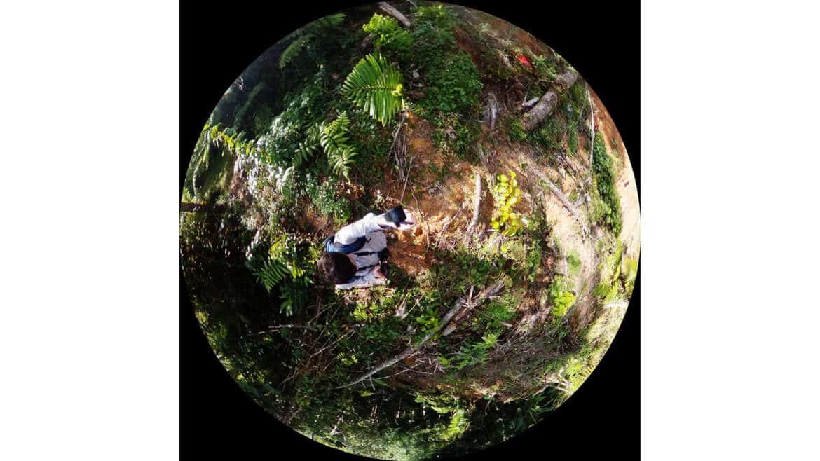 New Research Published, June 2025