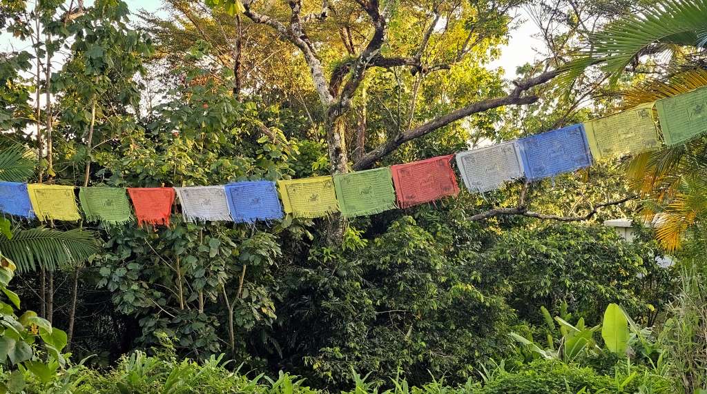 Wishing Peace and Love to All our Friends and Family around the Planet.