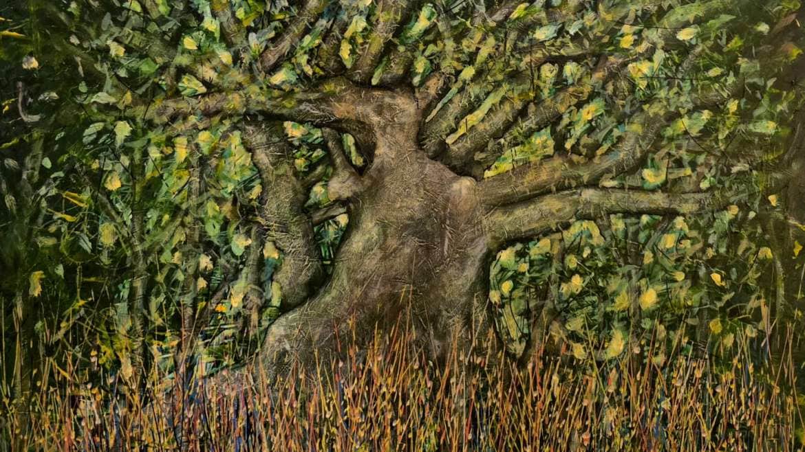 Artist Residencies at Las Casas de la Selva, 2026