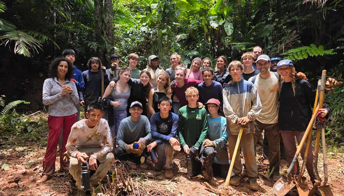 Restoring timber-forest access with Global Works, 1 August 2026