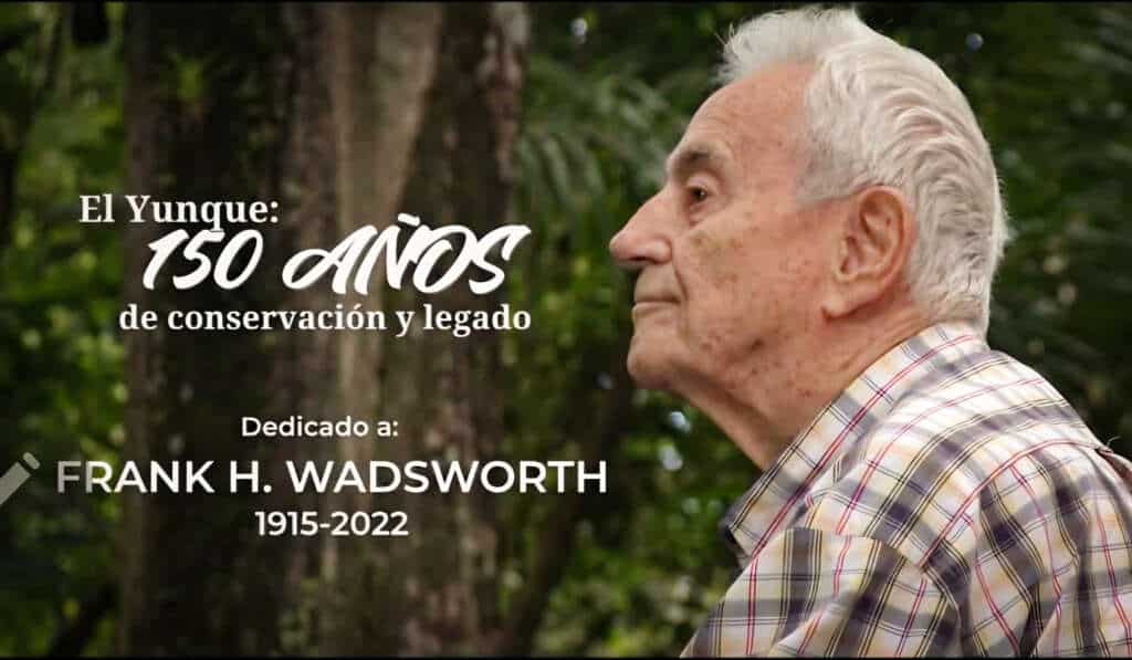 El Yunque’s 150th anniversary brought together the people, science and history behind one of Puerto Rico’s most treasured forests. The celebration honored Dr. Frank H. Wadsworth, whose guidance helped inspire Las Casas de la Selva’s work in sustainable forestry & rainforest enrichment and the post-Maria work of Puerto Rico Hardwoods.